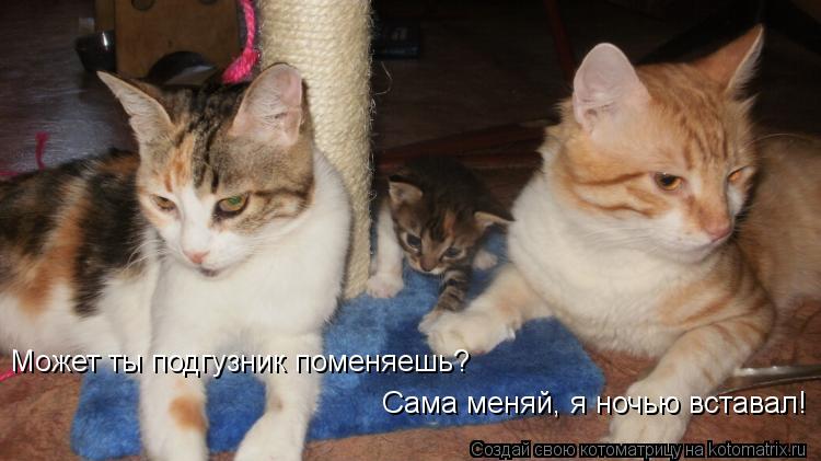 Может ты подгузник поменяешь? Сама меняй, я ночью вставал!... Котоматрица: Может ты подгузник поменяешь? Сама меняй, я ночью вставал!
