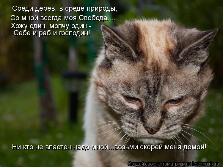 Среди дерев, в среде природы, Со мной всегда моя Свобода.... Хожу один, молчу один - Себе и раб и гос... Котоматрица: Среди дерев, в среде природы, Со мной всегда моя Свобода.... Хожу один, молчу один - Себе и раб и господин! Ни кто не властен надо мной...возьми с