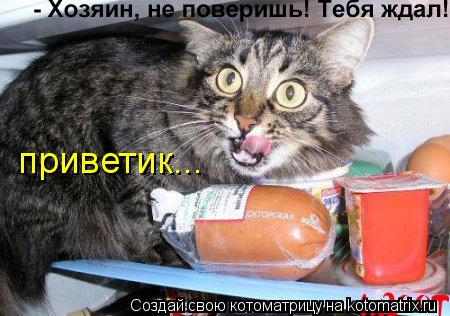 приветик...... Котоматрица: приветик...