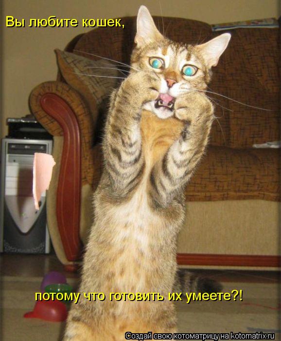 Вы любите кошек, потому что готовить их умеете?!... Котоматрица: Вы любите кошек, потому что готовить их умеете?!