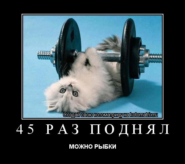 Котоматрица: 45 РАЗ ПОДНЯЛ  МОЖНО РЫБКИ