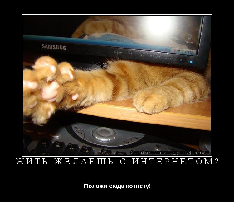 Котоматрица: ЖИТЬ ЖЕЛАЕШЬ С ИНТЕРНЕТОМ?  Положи сюда котлету!