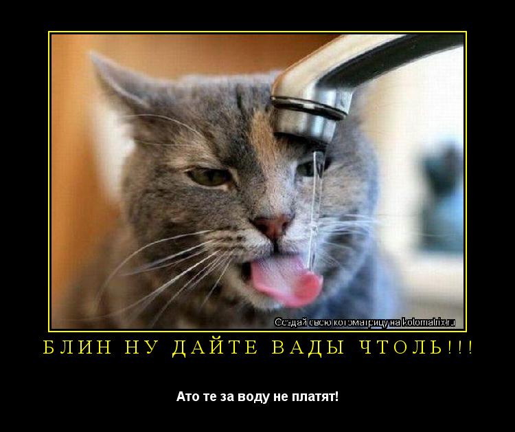 Котоматрица: блин ну дайте вады чтоль!!! Ато те за воду не платят!