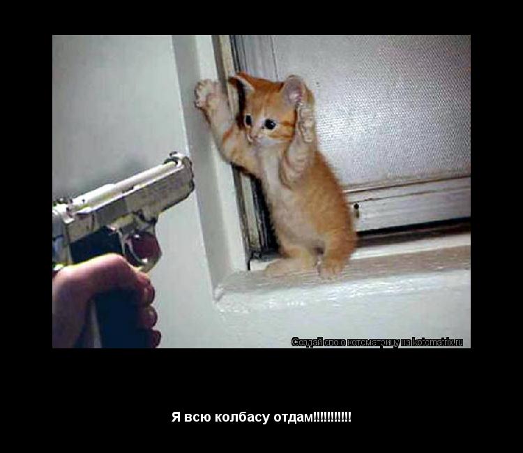 Колбаса Я всю колбасу отдам!!!!!!!!!!!... Котоматрица: Колбаса Я всю колбасу отдам!!!!!!!!!!!
