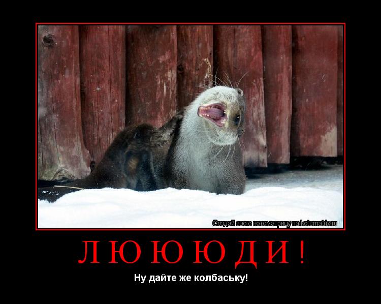 Котоматрица: ЛЮЮЮДИ! Ну дайте же колбаську!