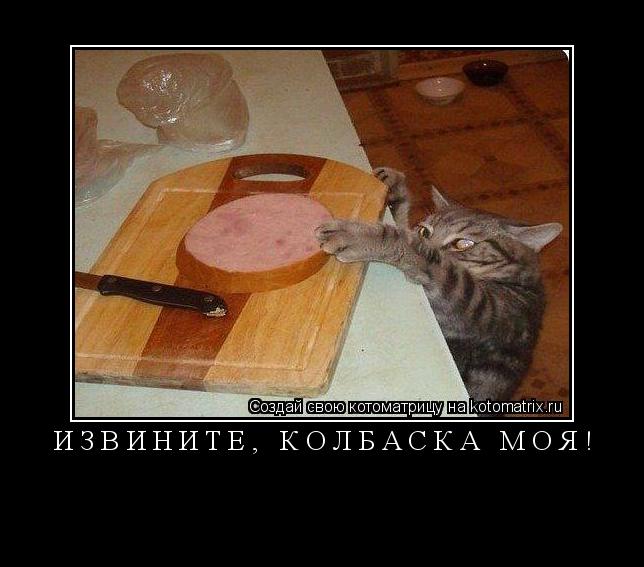 Котоматрица: Извините, колбаска моя! 