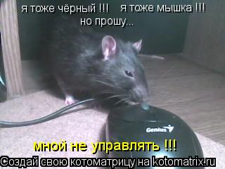 я тоже чёрный !!! я тоже мышка !!! но прошу... мной не управлять !!!... Котоматрица: я тоже чёрный !!! я тоже мышка !!! но прошу... мной не управлять !!!