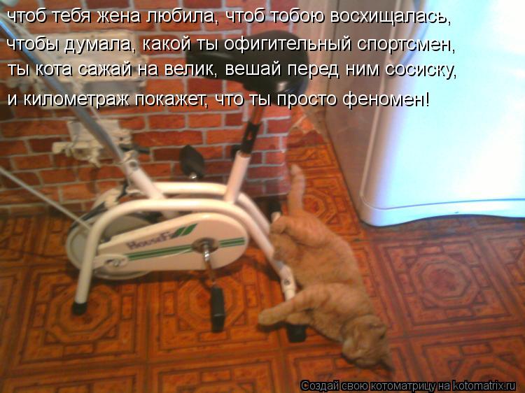 чтоб тебя жена любила, чтоб тобою восхищалась, чтобы думала, какой ты офигительный спортсмен, ты кота... Котоматрица: чтоб тебя жена любила, чтоб тобою восхищалась, чтобы думала, какой ты офигительный спортсмен, ты кота сажай на велик, вешай перед ним сосиск