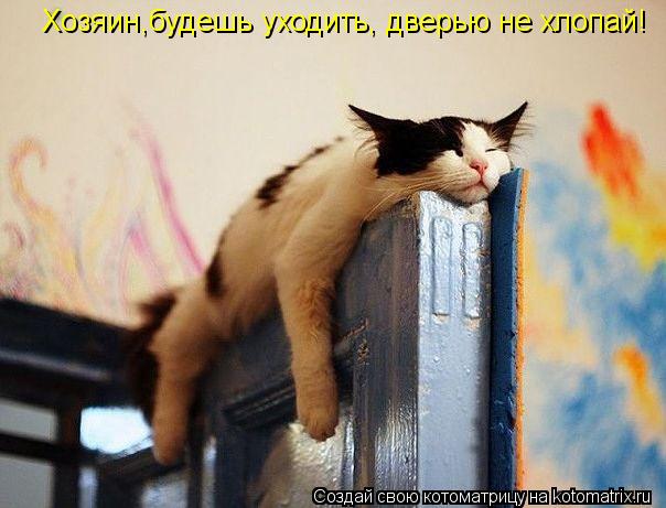 Хозяин,будешь уходить, дверью не хлопай!... Котоматрица: Хозяин,будешь уходить, дверью не хлопай!