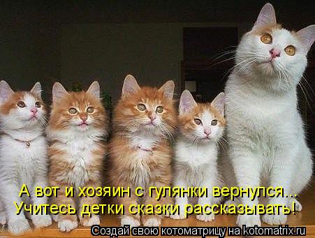А вот и хозяин с гулянки вернулся... Учитесь детки сказки рассказывать!... Котоматрица: А вот и хозяин с гулянки вернулся... Учитесь детки сказки рассказывать!