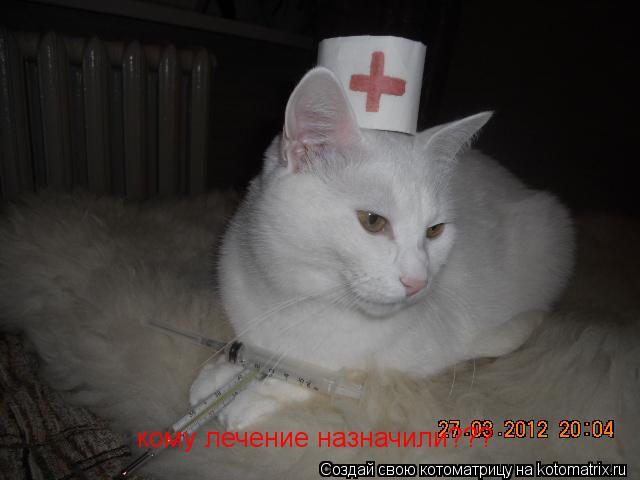 кому лечение назначили???... Котоматрица: кому лечение назначили???