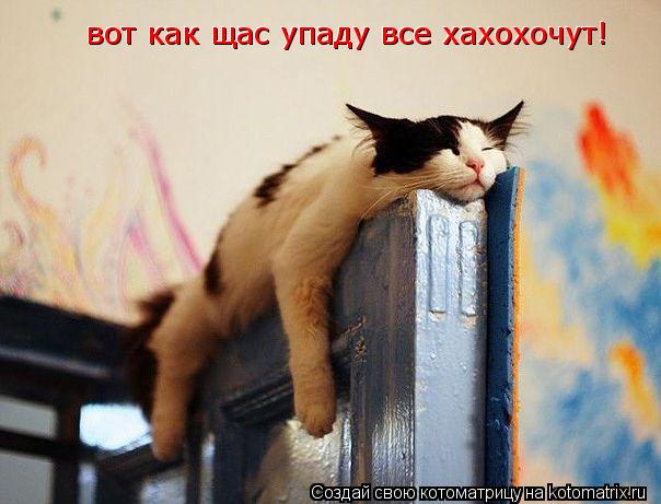 вот как щас упаду все хахохочут! вот как щас упаду все хахохочут!... Котоматрица: вот как щас упаду все хахохочут! вот как щас упаду все хахохочут!