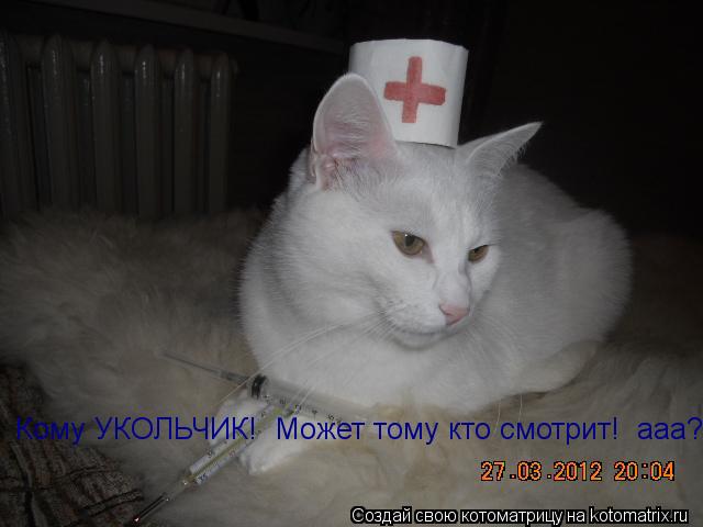 Кому УКОЛЬЧИК! Может тому кто смотрит! ааа?... Котоматрица: Кому УКОЛЬЧИК! Может тому кто смотрит! ааа?