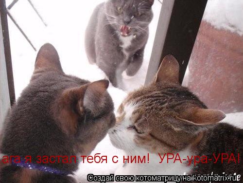 ага я застал тебя с ним! УРА-ура-УРА!... Котоматрица: ага я застал тебя с ним! УРА-ура-УРА!