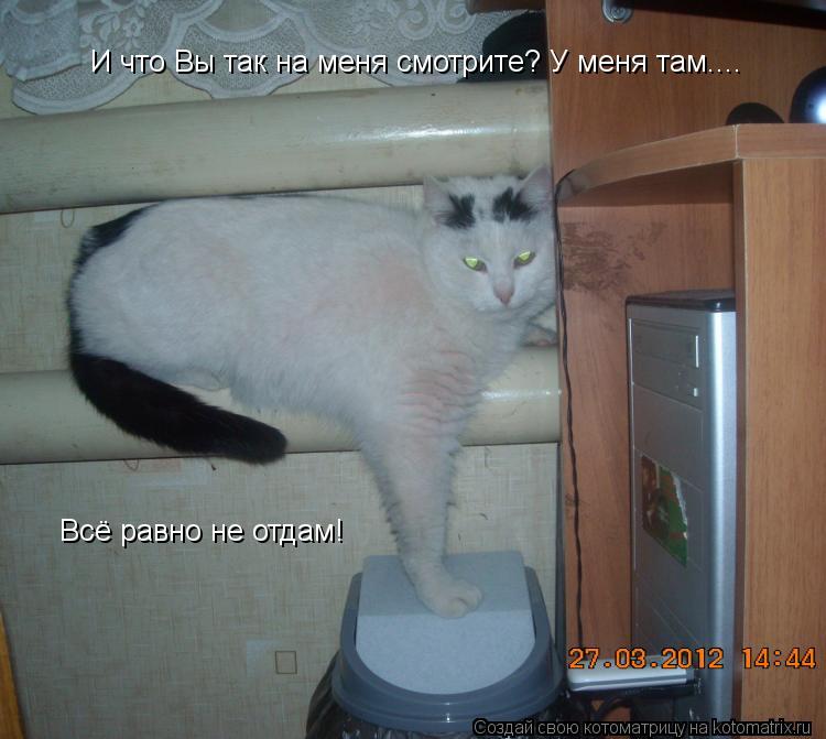 И что Вы так на меня смотрите? У меня там.... Всё равно не отдам!... Котоматрица: И что Вы так на меня смотрите? У меня там.... Всё равно не отдам!