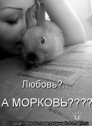 Любовь?.. А МОРКОВЬ????... Котоматрица: Любовь?.. А МОРКОВЬ????