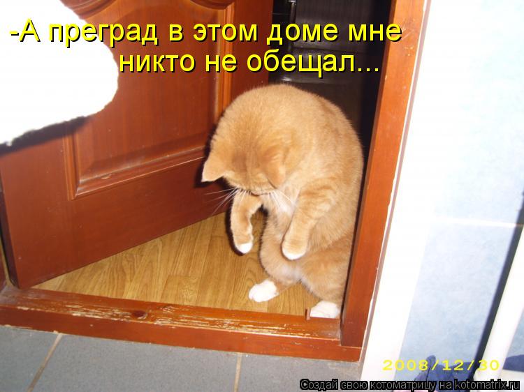 -А преград в этом доме мне никто не обещал...... Котоматрица: -А преград в этом доме мне никто не обещал...