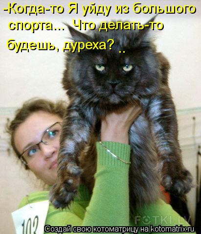 -Когда-то Я уйду из большого спорта... Что делать-то будешь, дуреха? ..... Котоматрица: -Когда-то Я уйду из большого спорта... Что делать-то будешь, дуреха? ..