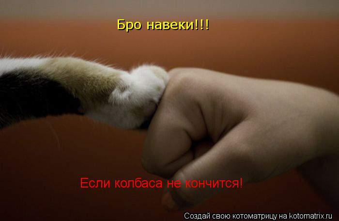 Бро навеки!!! Если колбаса не кончится!... Котоматрица: Бро навеки!!! Если колбаса не кончится!