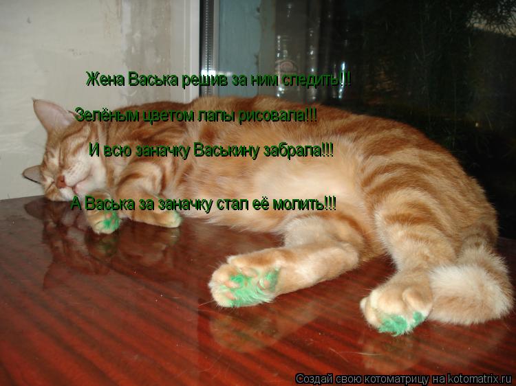 Жена Васька решив за ним следить!!! Зелёным цветом лапы рисовала!!! И всю заначку Васькину забрала!!!... Котоматрица: Жена Васька решив за ним следить!!! Зелёным цветом лапы рисовала!!! И всю заначку Васькину забрала!!! А Васька за заначку стал её молить!!!