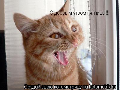 С добрым утром пятницы!!! С добрым утром пятницы!!!... Котоматрица: С добрым утром пятницы!!! С добрым утром пятницы!!!