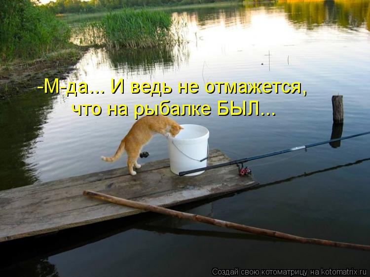 -М-да... И ведь не отмажется, что на рыбалке БЫЛ...... Котоматрица: -М-да... И ведь не отмажется, что на рыбалке БЫЛ...