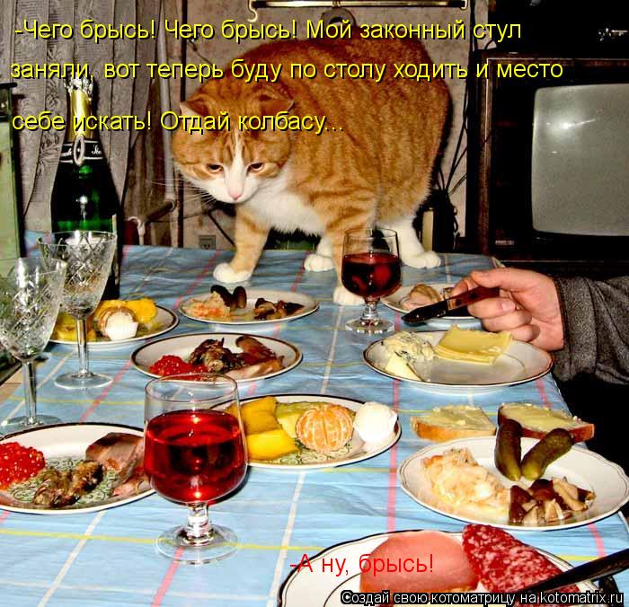 -А ну, брысь! -Чего брысь! Чего брысь! Мой законный стул заняли, вот теперь буду по столу ходить и ме... Котоматрица: -А ну, брысь! -Чего брысь! Чего брысь! Мой законный стул заняли, вот теперь буду по столу ходить и место себе искать! Отдай колбасу...