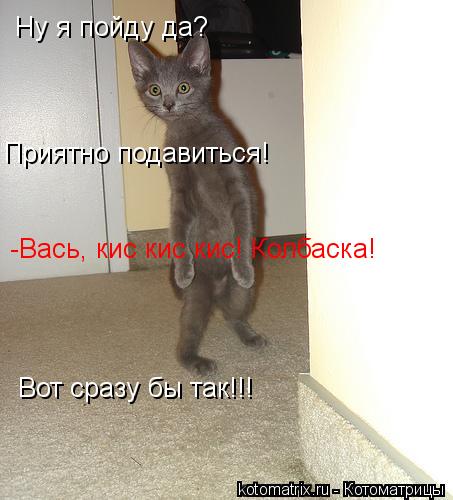 Ну я пойду да? Приятно подавиться! -Вась, кис кис кис! Колбаска! Вот сразу бы так!!!... Котоматрица: Ну я пойду да? Приятно подавиться! -Вась, кис кис кис! Колбаска! Вот сразу бы так!!!