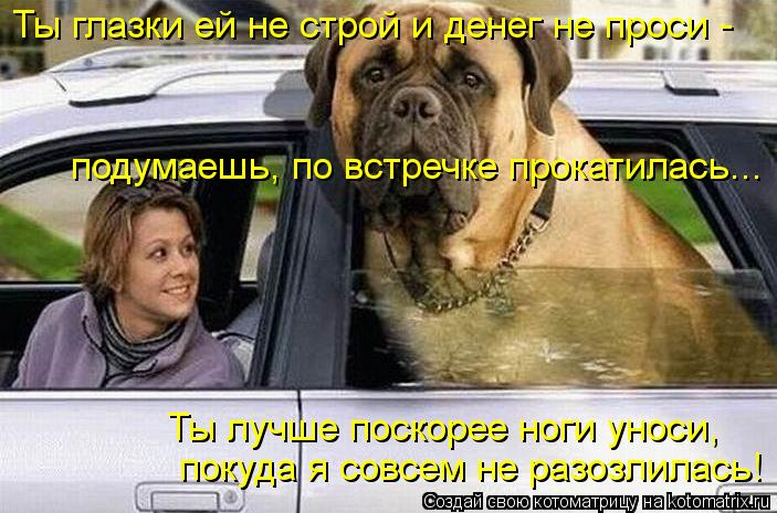 Котоматрица: Ты глазки ей не строй и денег не проси - подумаешь, по встречке прокатилась... Ты лучше поскорее ноги уноси,  покуда я совсем не разозлилась!
