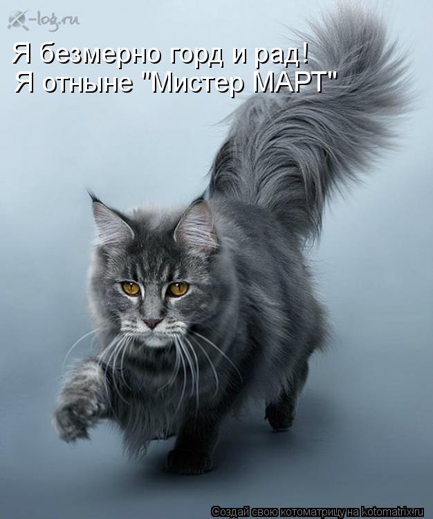 Котоматрица: Я безмерно горд и рад! Я отныне "Мистер МАРТ"