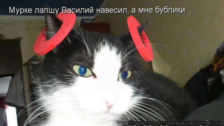 Котоматрица: Мурке лапшу Василий навесил, а мне бублики