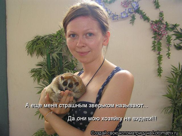 А еще меня страшным зверьком называют...Да они мою хозяйку не видели!!! А еще меня страшным зверьком ... Котоматрица: А еще меня страшным зверьком называют...Да они мою хозяйку не видели!!! А еще меня страшным зверьком называют... Да они мою хозяйку не видели!!!