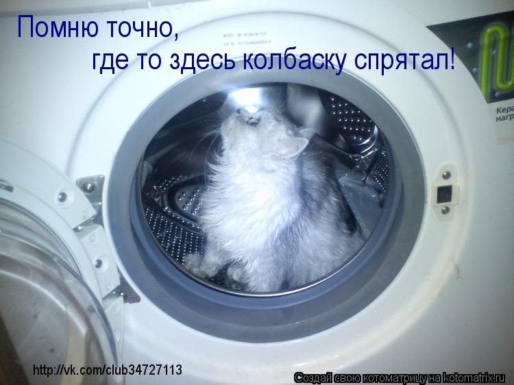 Котоматрица: Помню точно,  где то здесь колбаску спрятал! http://vk.com/club34727113