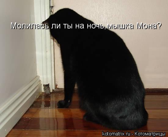 Котоматрица: Молилась ли ты на ночь,мышка Мона?