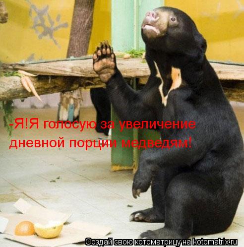 Котоматрица: -Я!Я голосую за увеличение дневной порции медведям!