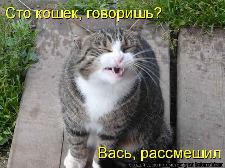 Котоматрица: Сто кошек, говоришь?  Вась, рассмешил