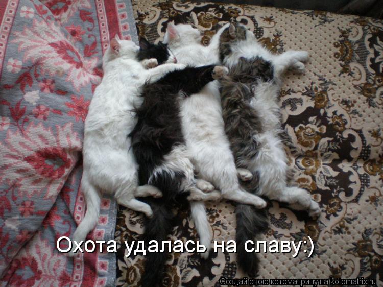 Котоматрица: Охота удалась на славу:)