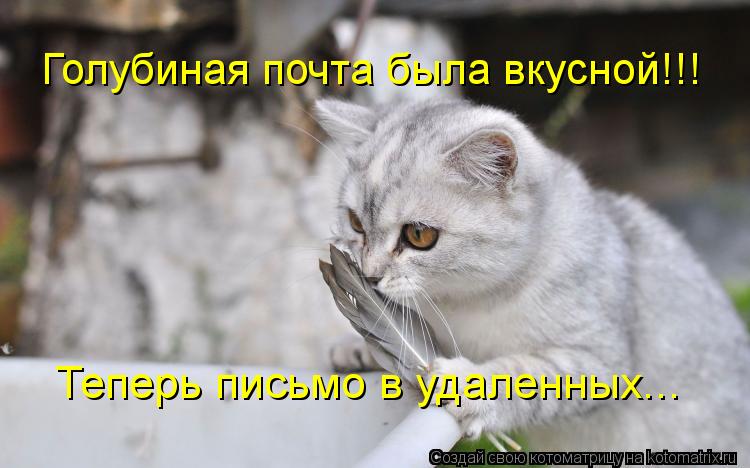 Котоматрица: Голубиная почта была вкусной!!! Теперь письмо в удаленных...