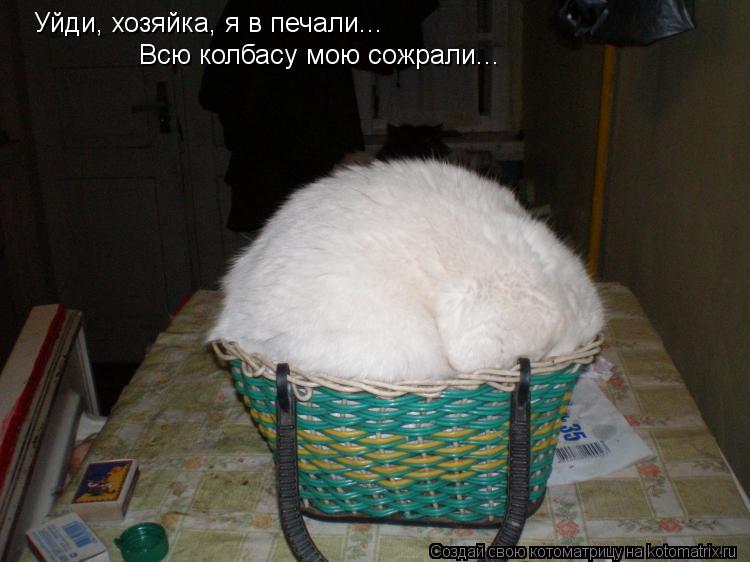 Котоматрица: Уйди, хозяйка, я в печали...  Всю колбасу мою сожрали...