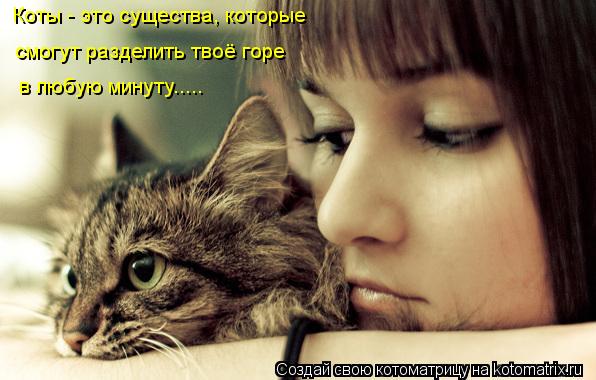 Котоматрица: Коты - это существа, которые  смогут разделить твоё горе в любую минуту.....