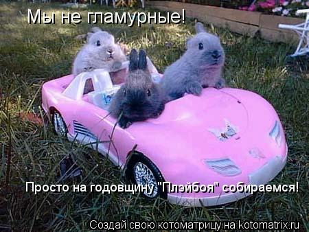 Котоматрица: Мы не гламурные! Просто на годовщину "Плэйбоя" собираемся!