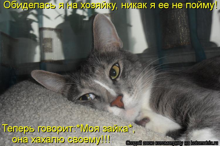 Котоматрица: Обиделась я на хозяйку, никак я ее не пойму! Теперь говорит:*Моя зайка*,  она хахалю своему!!!