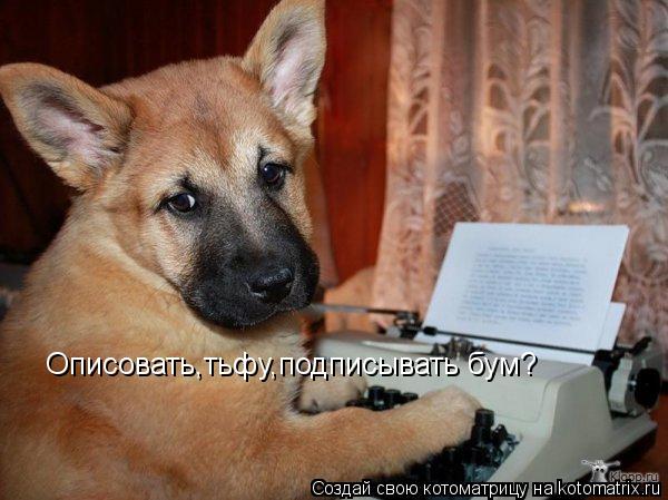 Котоматрица: Описовать,тьфу,подписывать бум?