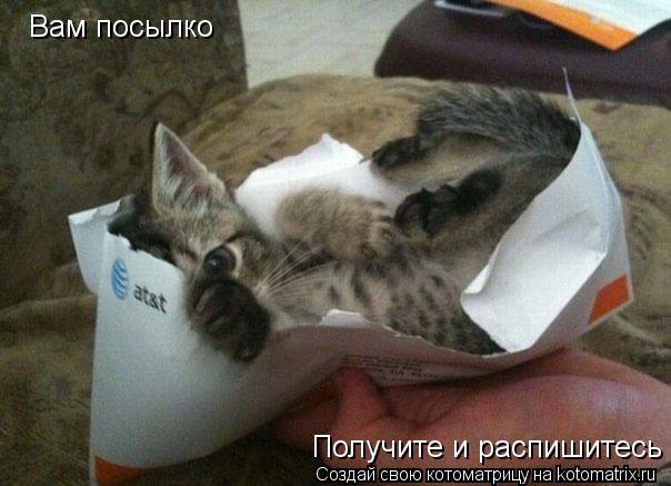Котоматрица: Вам посылко Получите и распишитесь