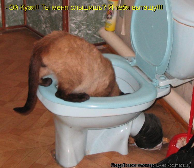 Котоматрица: - Эй Кузя!! Ты меня слышишь? Я тебя вытащу!!!