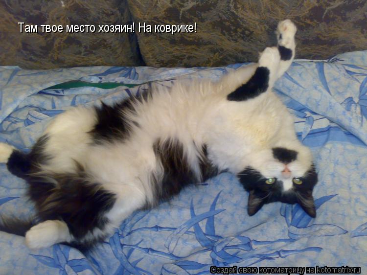 Котоматрица: Там твое место хозяин! На коврике!