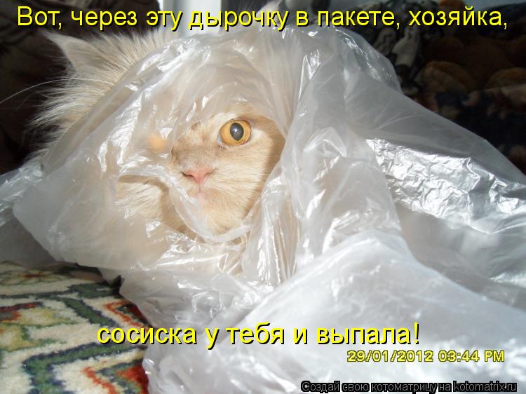 Котоматрица: Вот, через эту дырочку в пакете, хозяйка,  сосиска у тебя и выпала!