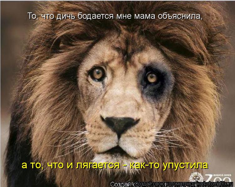 То, что дичь бодается мне мама объяснила, а то, что и лягается - как-то упустила... Котоматрица: То, что дичь бодается мне мама объяснила, а то, что и лягается - как-то упустила