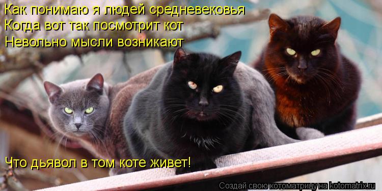 Котоматрица: Как понимаю я людей средневековья   Когда вот так посмотрит кот  Невольно мысли возникают  Что дьявол в том коте живет!