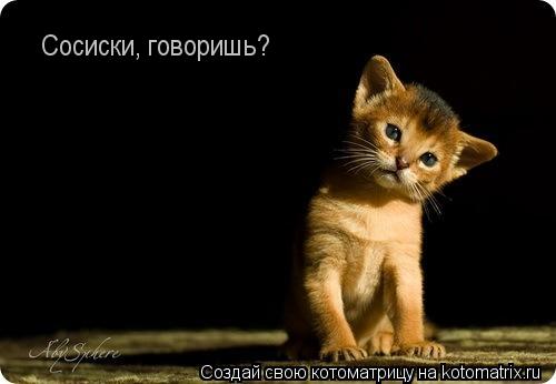 Котоматрица: Сосиски, говоришь?